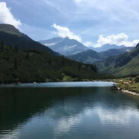 Chalet Winkler * Mittersill