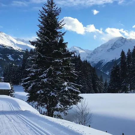 Chalet Winkler Chalet Mittersill